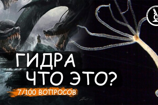 Kraken рабочее зеркало onion