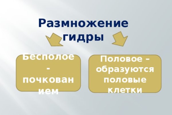 Зеркало кракен kr2web in